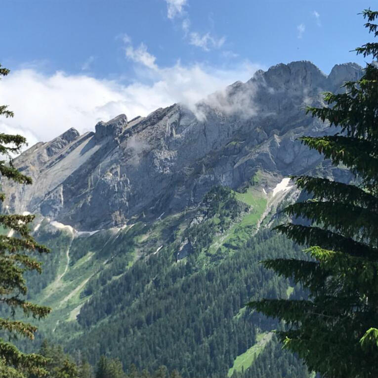 Le Miroir d'Argentine