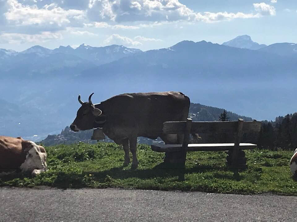 Welcome to Switzerland!