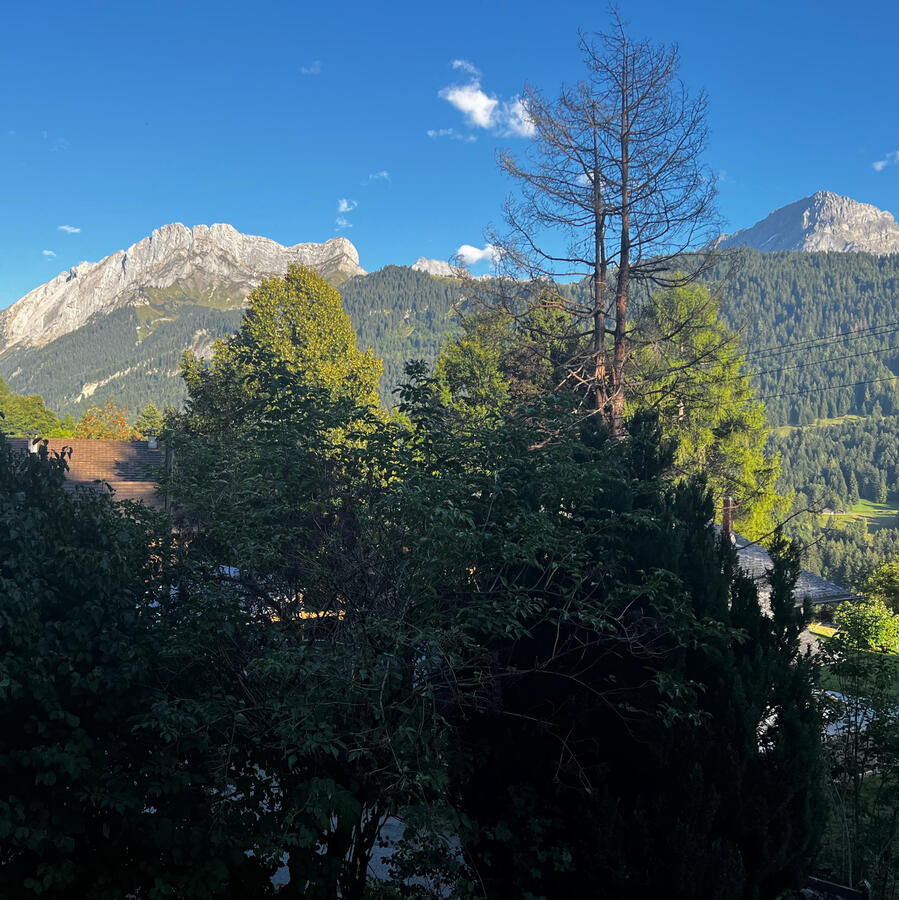 Miroir d'Argentine & Grand Muveran (view from Chalet)